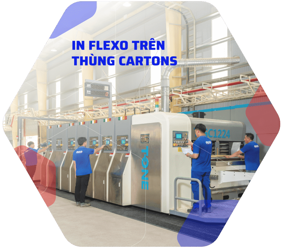 In flexo trên thùng carton
